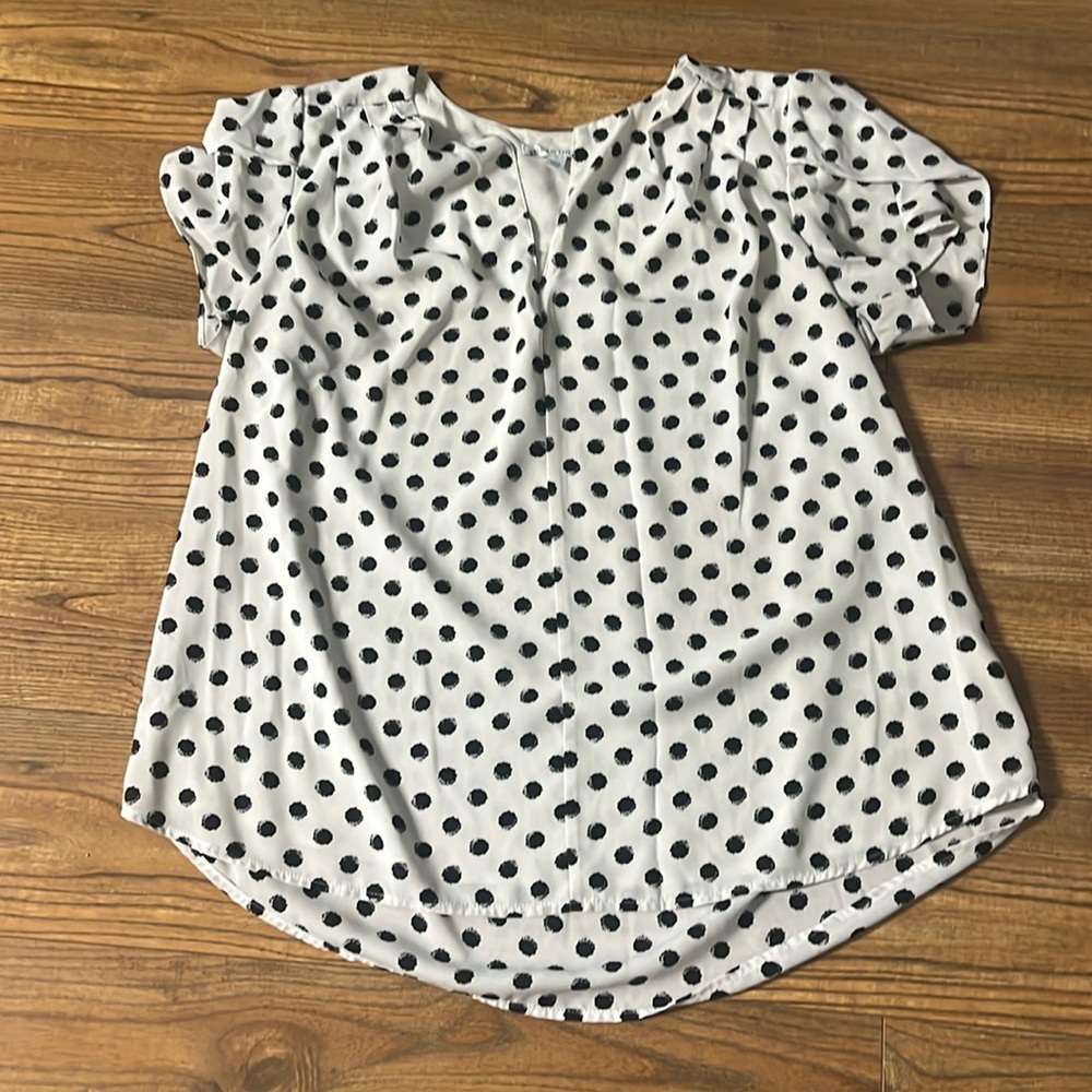 41 Hawthorn Polka Dot Dress Blouse